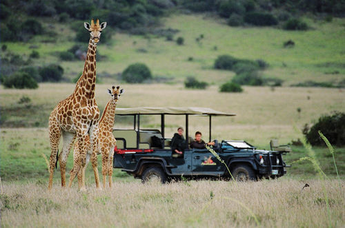 Amakhala Safari Lodge Paterson Luaran gambar