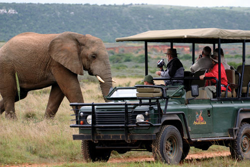 Amakhala Safari Lodge Paterson Luaran gambar