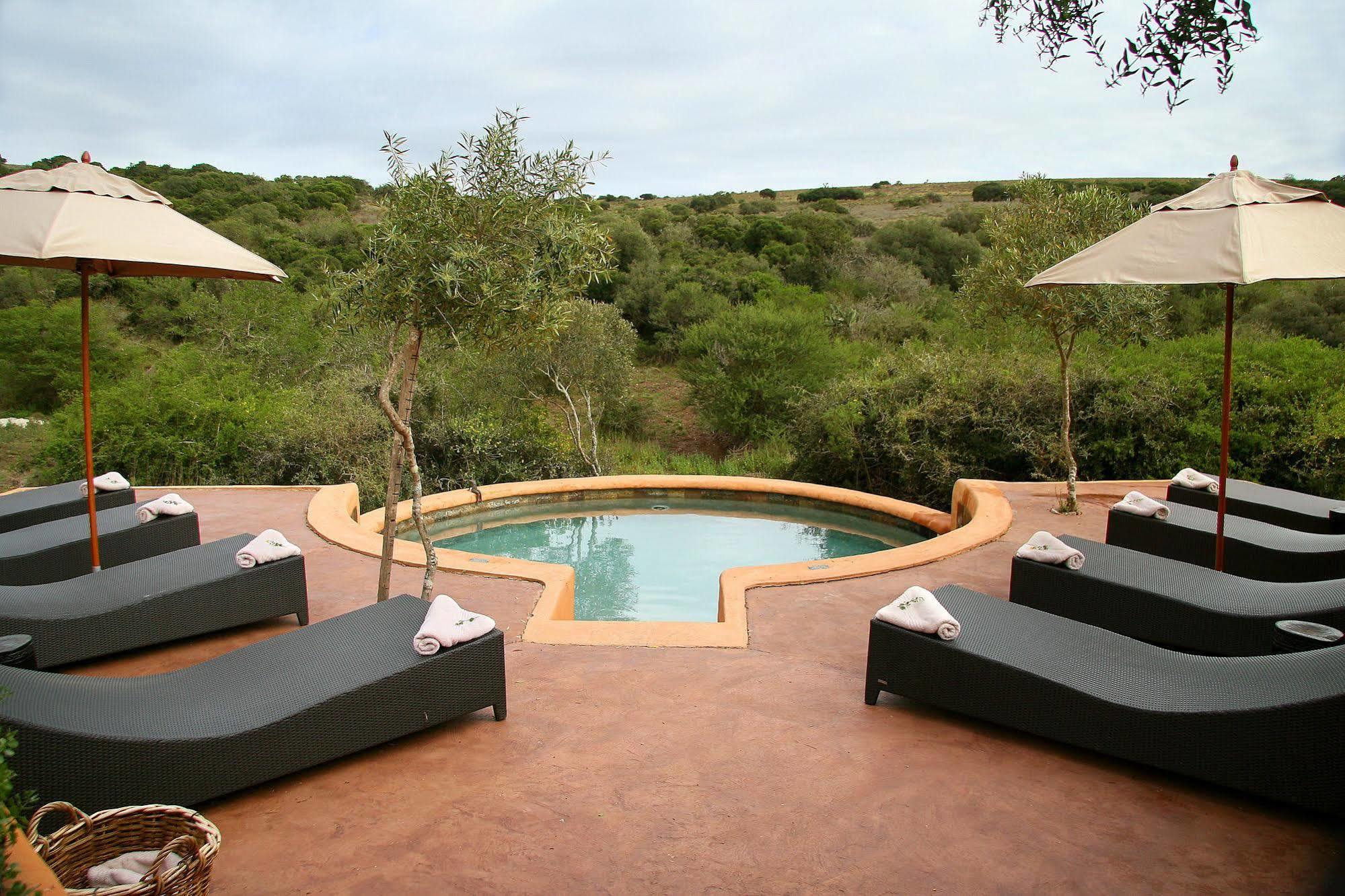 Amakhala Safari Lodge Paterson Luaran gambar